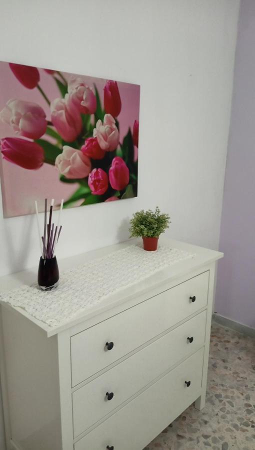 La Cittadella Apartment Amalfi Coast 萨莱诺 外观 照片